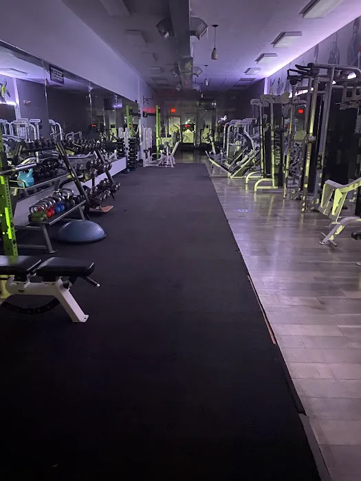 UniversalFitClub Picture 1
