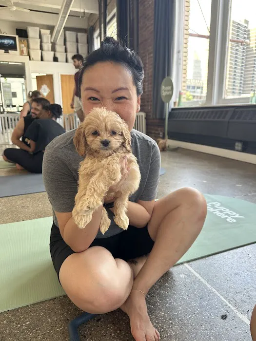Puppy Sphere | Puppy Yoga (Lower Manhattan) Picture 2