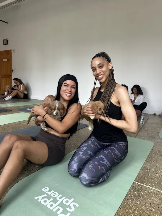 Puppy Sphere | Puppy Yoga (Lower Manhattan) Picture 4