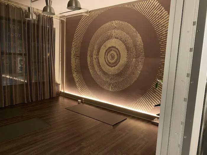 ID Hot Yoga - FIDI Picture 9