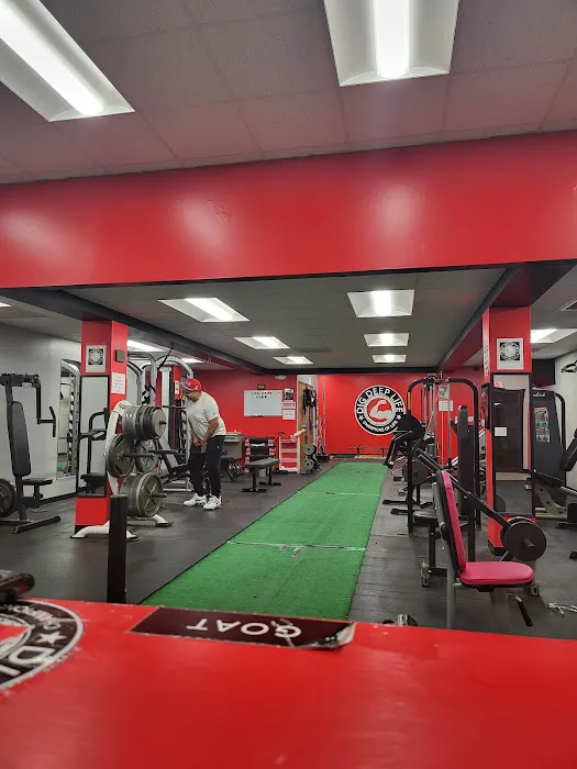 Dig Deep Life Gym Picture 2