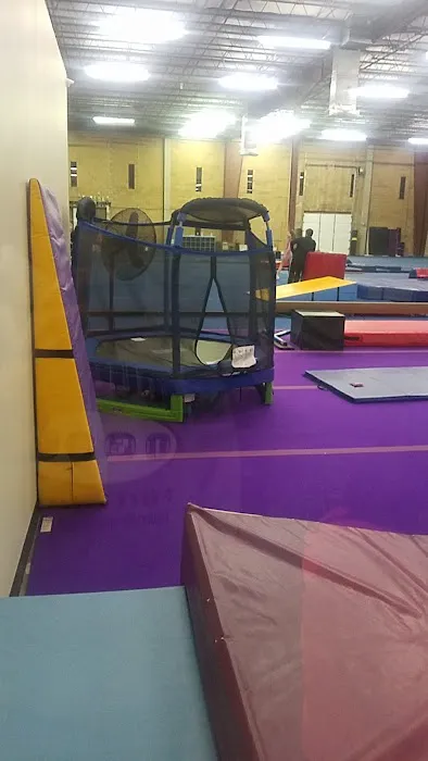 Atlantic Coast Tumbling Picture 3