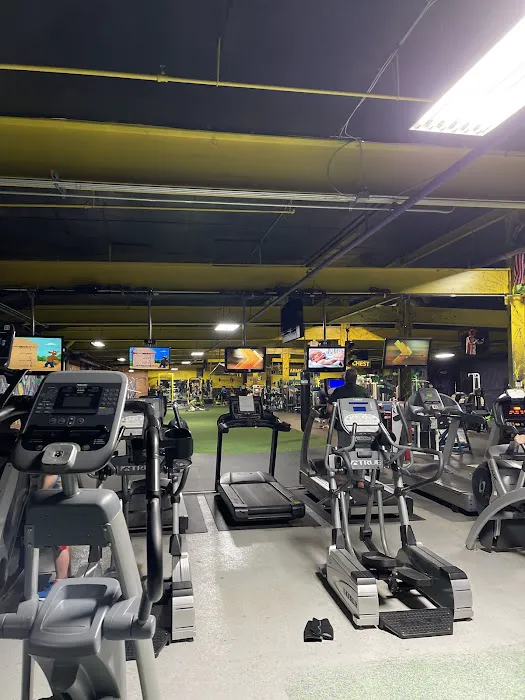 Everybodies Gym Picture 8