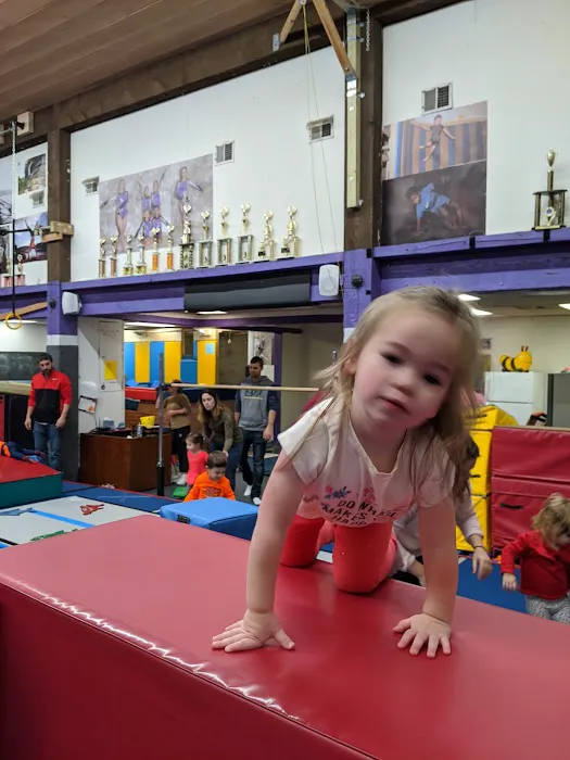 United Gymnastics School Picture 3