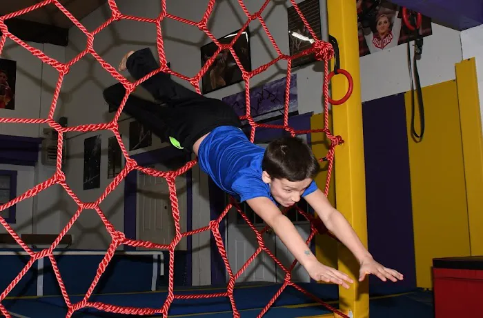 United Gymnastics School Picture 7
