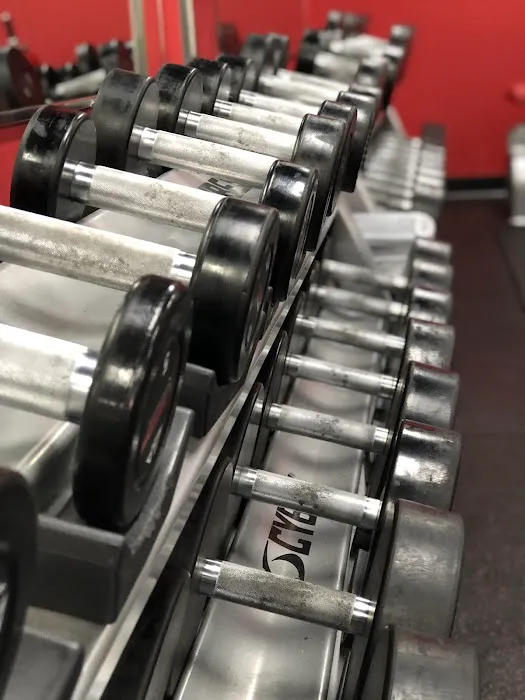 Snap Fitness Chagrin Falls Picture 3