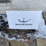 Sacred Grove