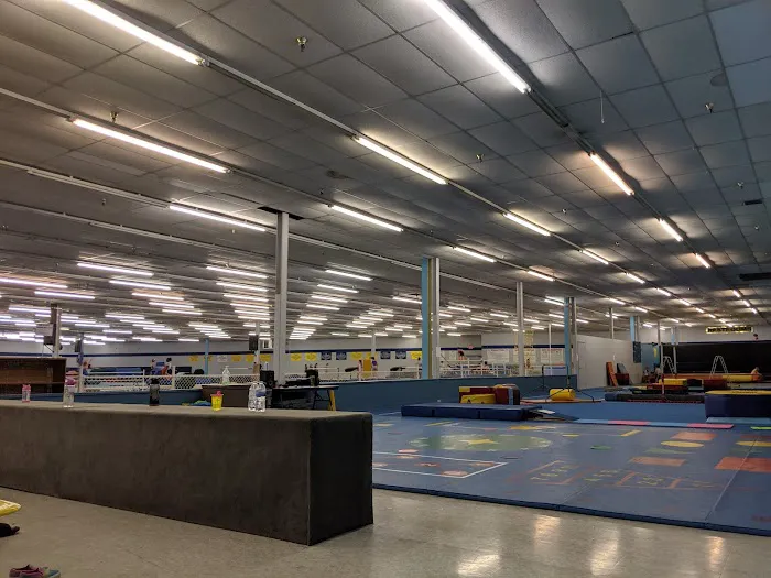 Flytz Gymnastics, Inc. Picture 7