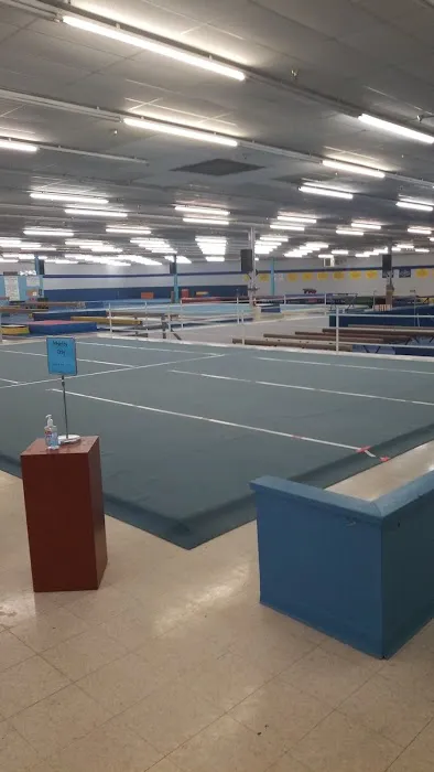 Flytz Gymnastics, Inc. Picture 3