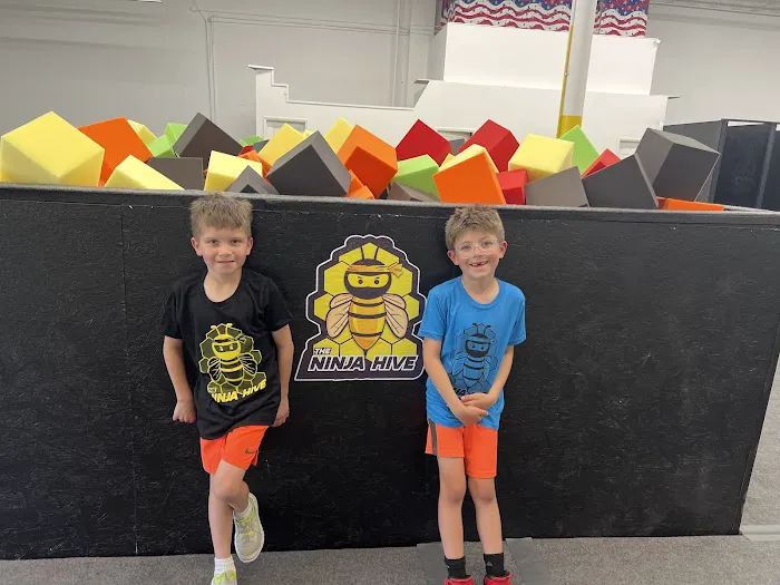 The Ninja Hive - American Ninja Warrior Gym Picture 7