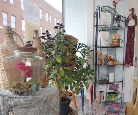Root 2 Rise Studio