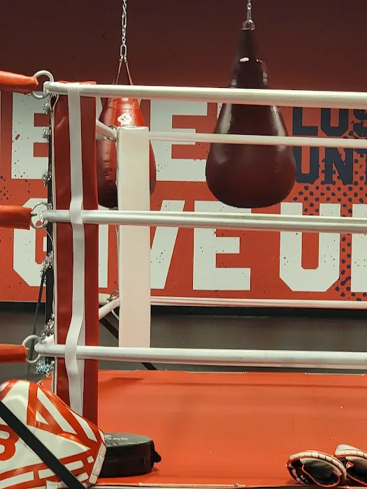 The Lab Boxing & Fitness Picture 8