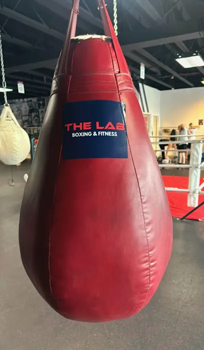 The Lab Boxing & Fitness Picture 2