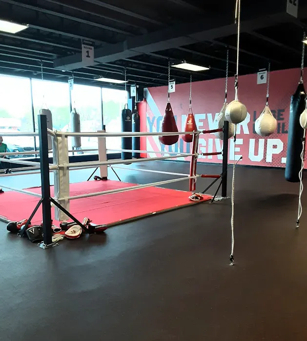 The Lab Boxing & Fitness Picture 1