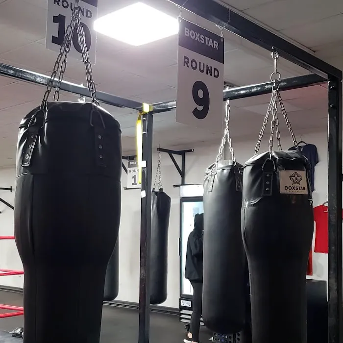 Boxstar Training Picture 6