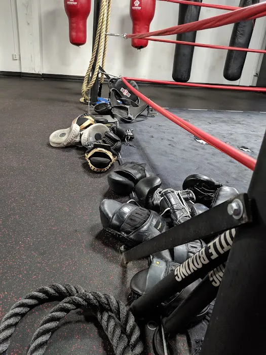 Boxstar Training Picture 5