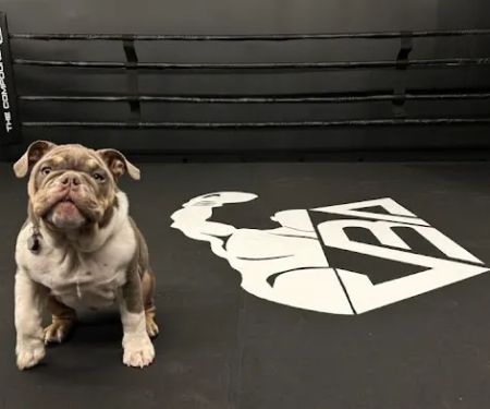 The Compound - Boxing & Fitness Studio