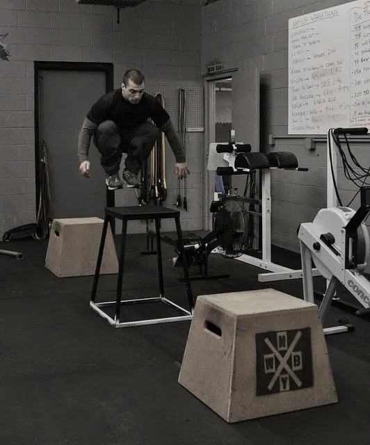 Wolf Brigade Gym Picture 4