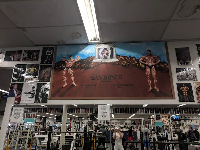 Powerhouse Gym Rochester Picture 4