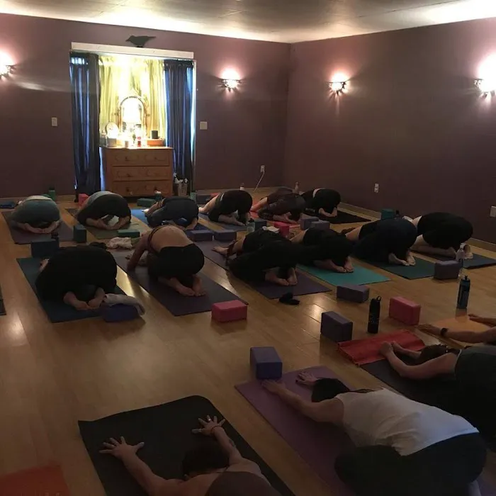 Blackbird Studio Yoga Barre and Pilates Picture 6