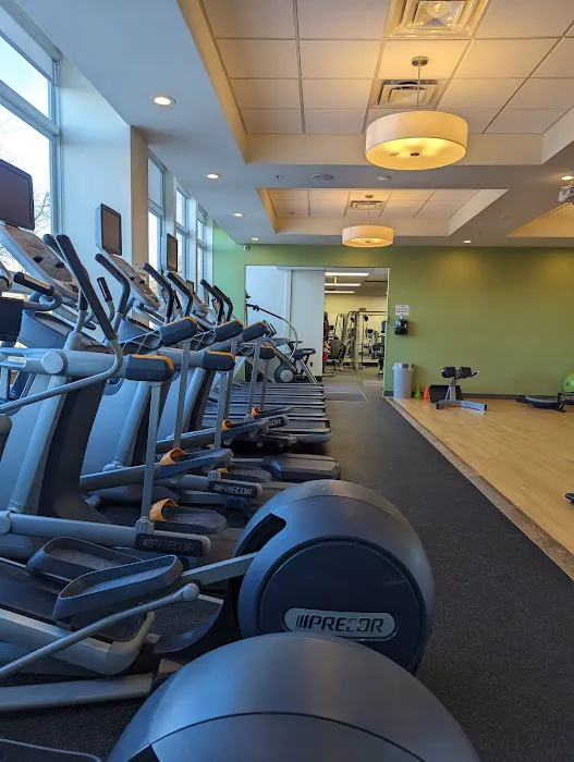 The Gym - South Hill Picture 1