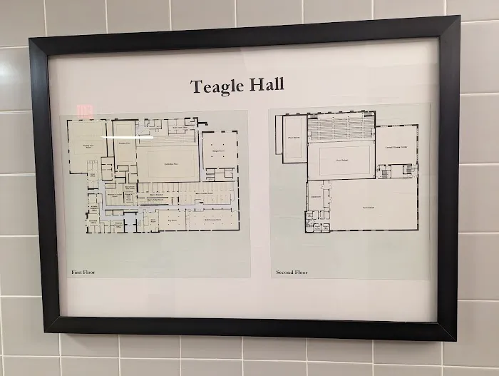 Teagle Down Fitness Center Picture 6