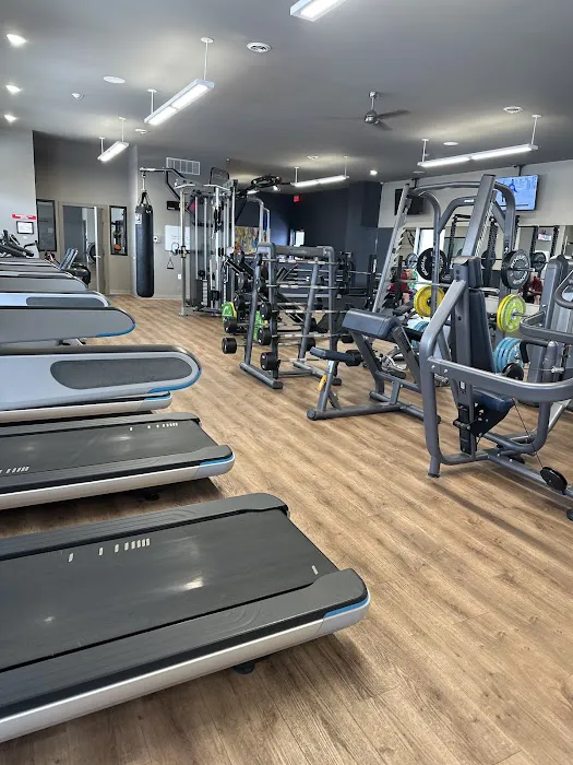 Vine Health and Fitness Picture 3