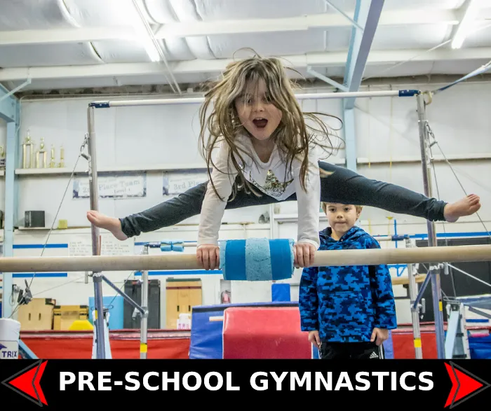 Spectrum Gymnastics Academy Picture 10