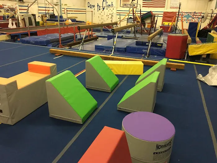 Spectrum Gymnastics Academy Picture 2