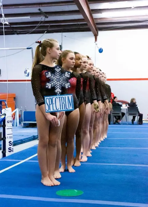 Spectrum Gymnastics Academy Picture 7