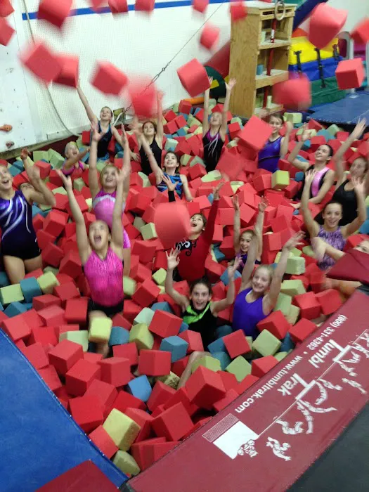 Spectrum Gymnastics Academy Picture 5