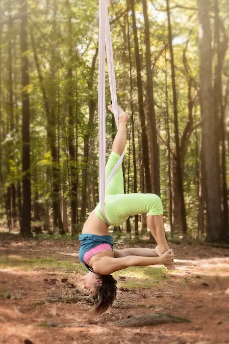 Aerial Moon Yoga Studio Picture 3