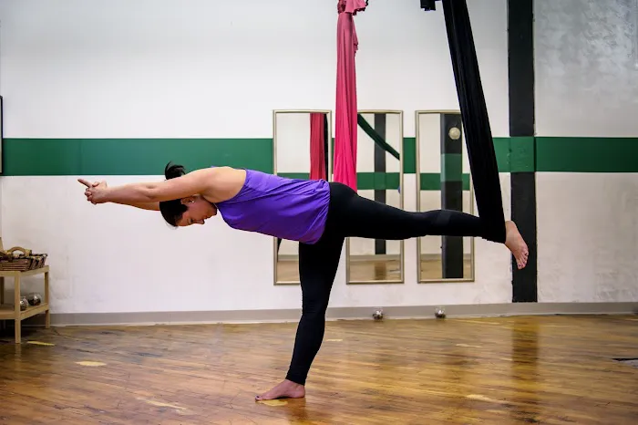 Aerial Moon Yoga Studio Picture 10
