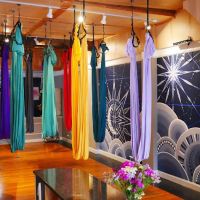 Aerial Moon Yoga Studio ico