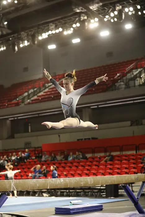 Sterling Academy Of Gymnastics Picture 3