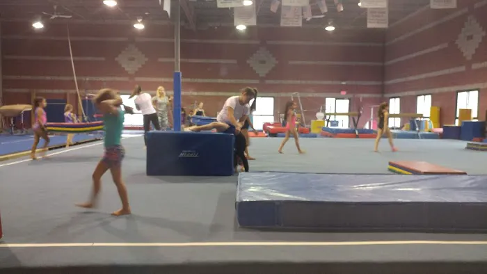 Absolute Gymnastics Academy Picture 3