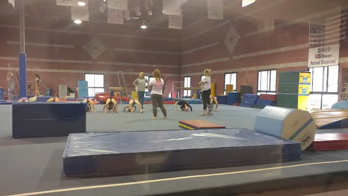 Absolute Gymnastics Academy Picture 1