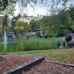 Royal Crest Fitness Center