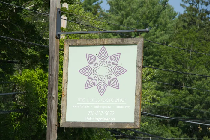 Utpala Yoga Studio Picture 5
