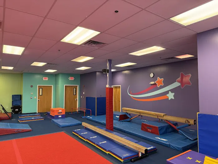 The Little Gym of Littleton Picture 1