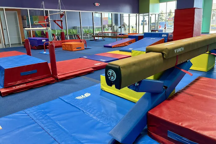 The Little Gym of Leominster Picture 6