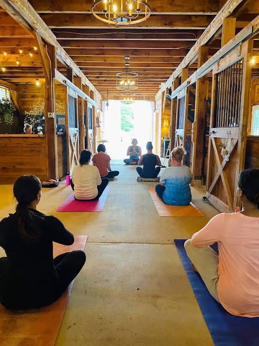 Powerful YOU Yoga Picture 8