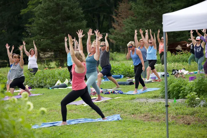 Powerful YOU Yoga Picture 4