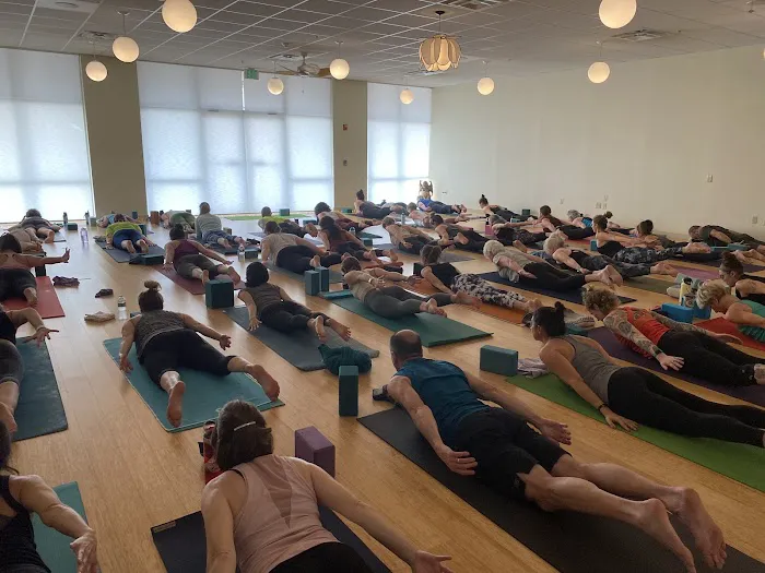 Greener Postures Yoga Picture 1