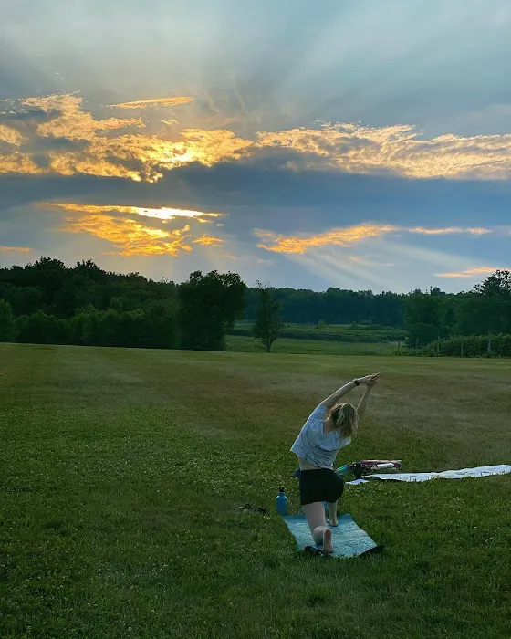 Sunflower Yoga Picture 3