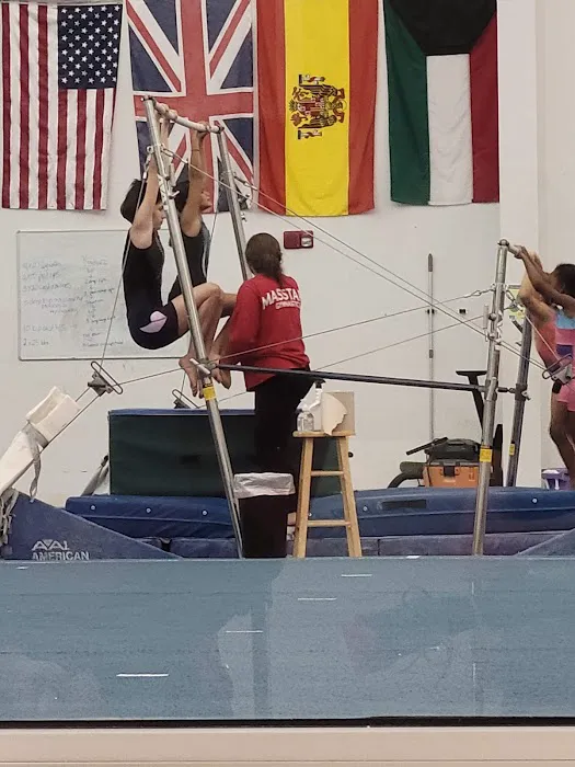 All American Gymnastic & Dance Academy Picture 1