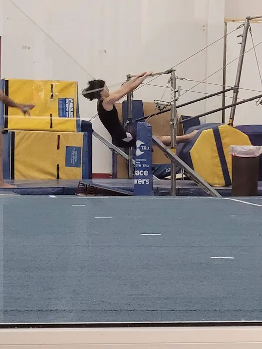 All American Gymnastic & Dance Academy Picture 5