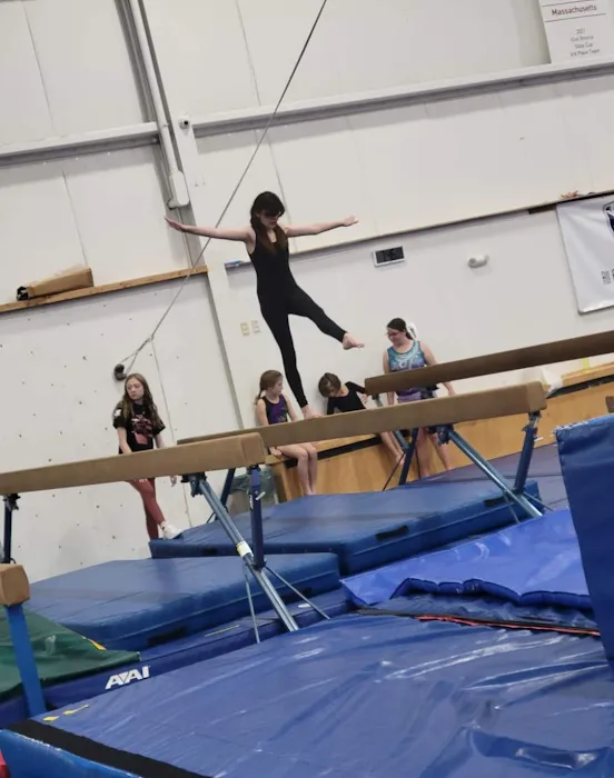 All American Gymnastic & Dance Academy Picture 7