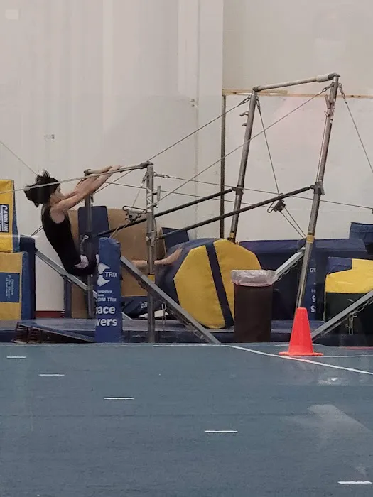 All American Gymnastic & Dance Academy Picture 2