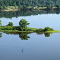 Airline trail Windham ico